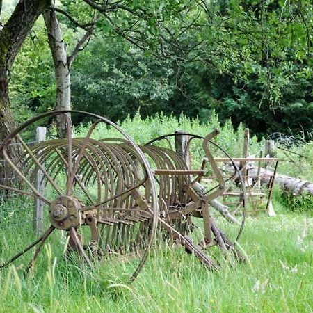 Hendre Aled Cottage 1 Llansannan Buitenkant foto