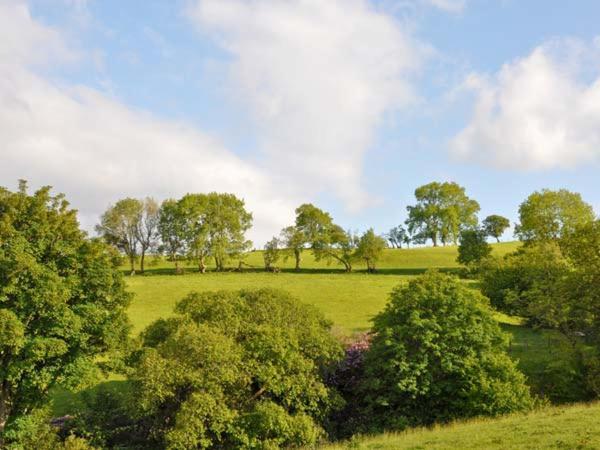 Hendre Aled Cottage 1 Llansannan Buitenkant foto